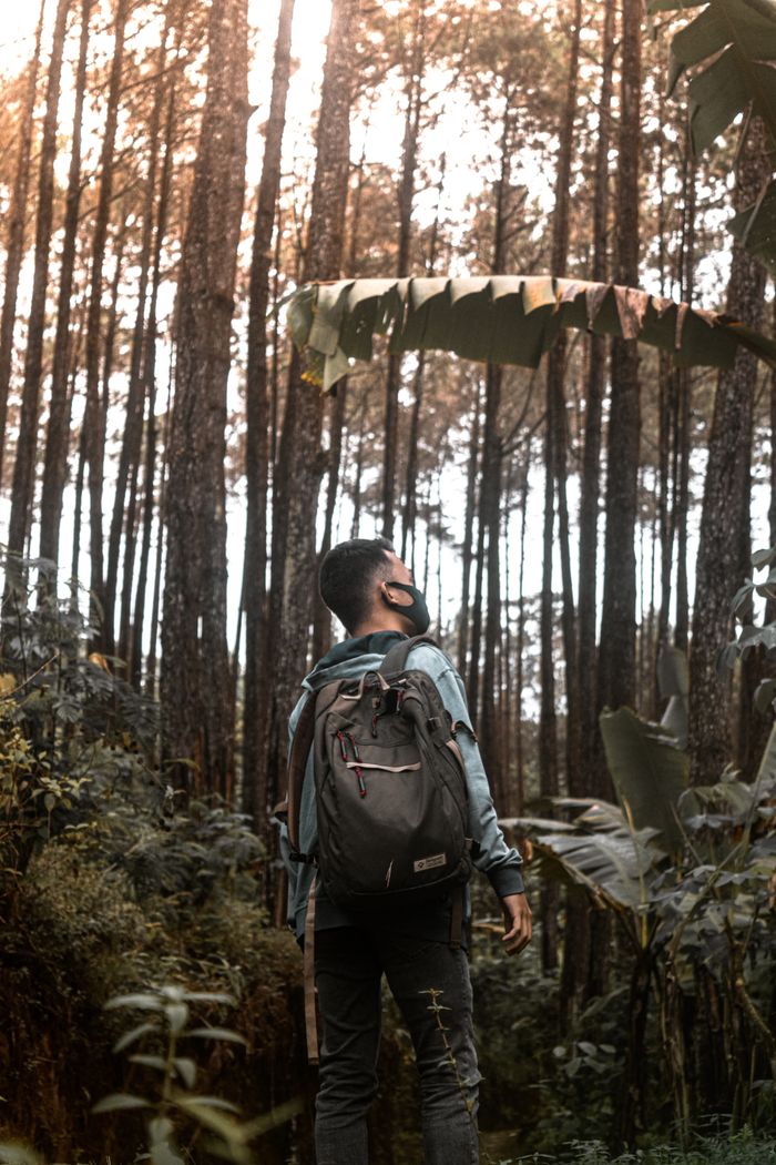 Man wearing a backpack, exploring a dense forest in Indonesia. Nature and adventure await.