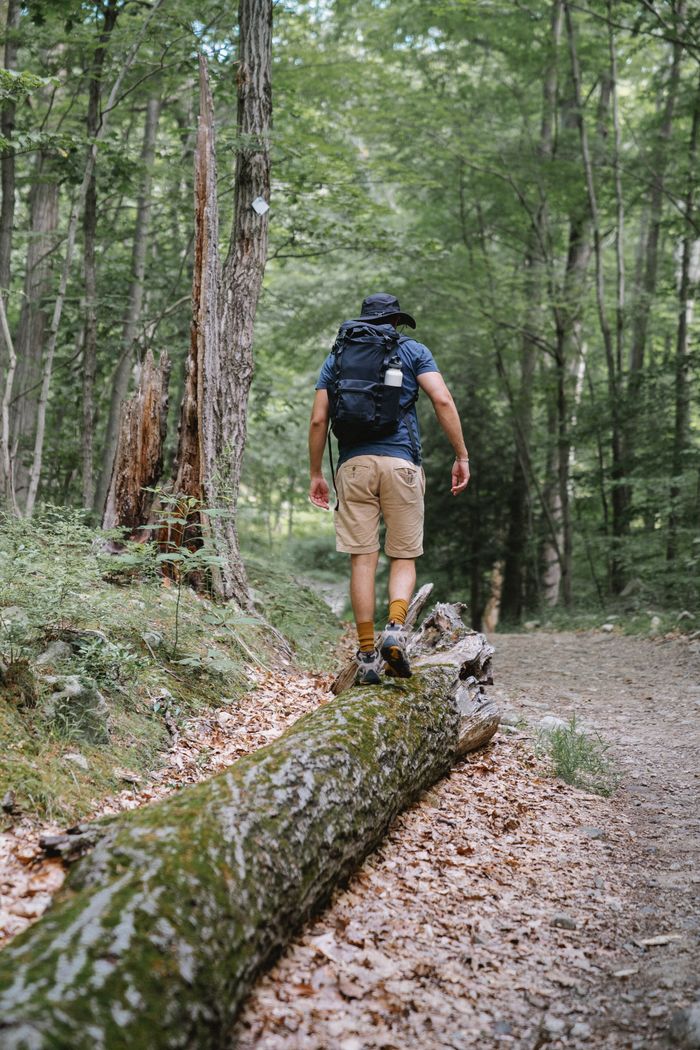 Man hiking on a forest trail, immersing in nature's tranquility.